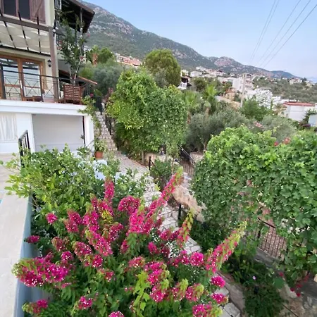 Mira Kalkan -close To Center- Kas