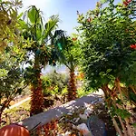 Mira Kalkan -close To Center- Villa